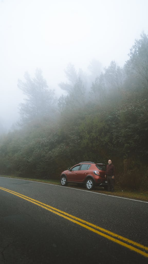 Imagen actual: Man standing near car parked on side of route near bushes in dense fog in countryside